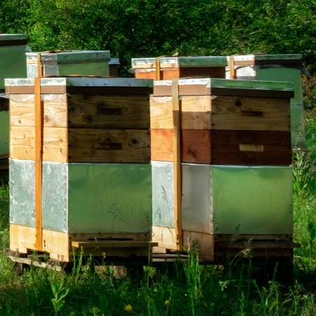 BEEHIVES-AND-OTHER-WOODEN-BEEKEEPING-EQUIPMENT